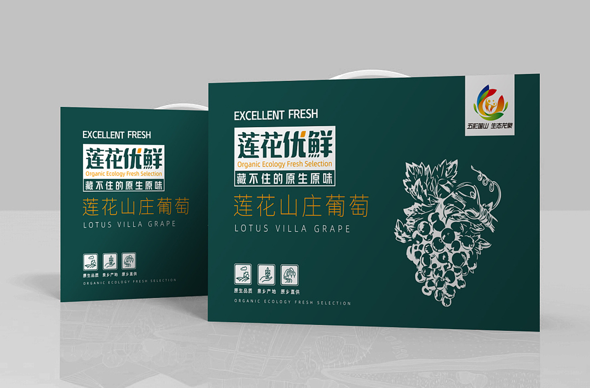 水果包裝設(shè)計